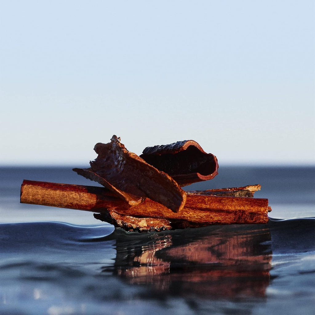 HUGO BOSS BOTTLED INFINITE parfum