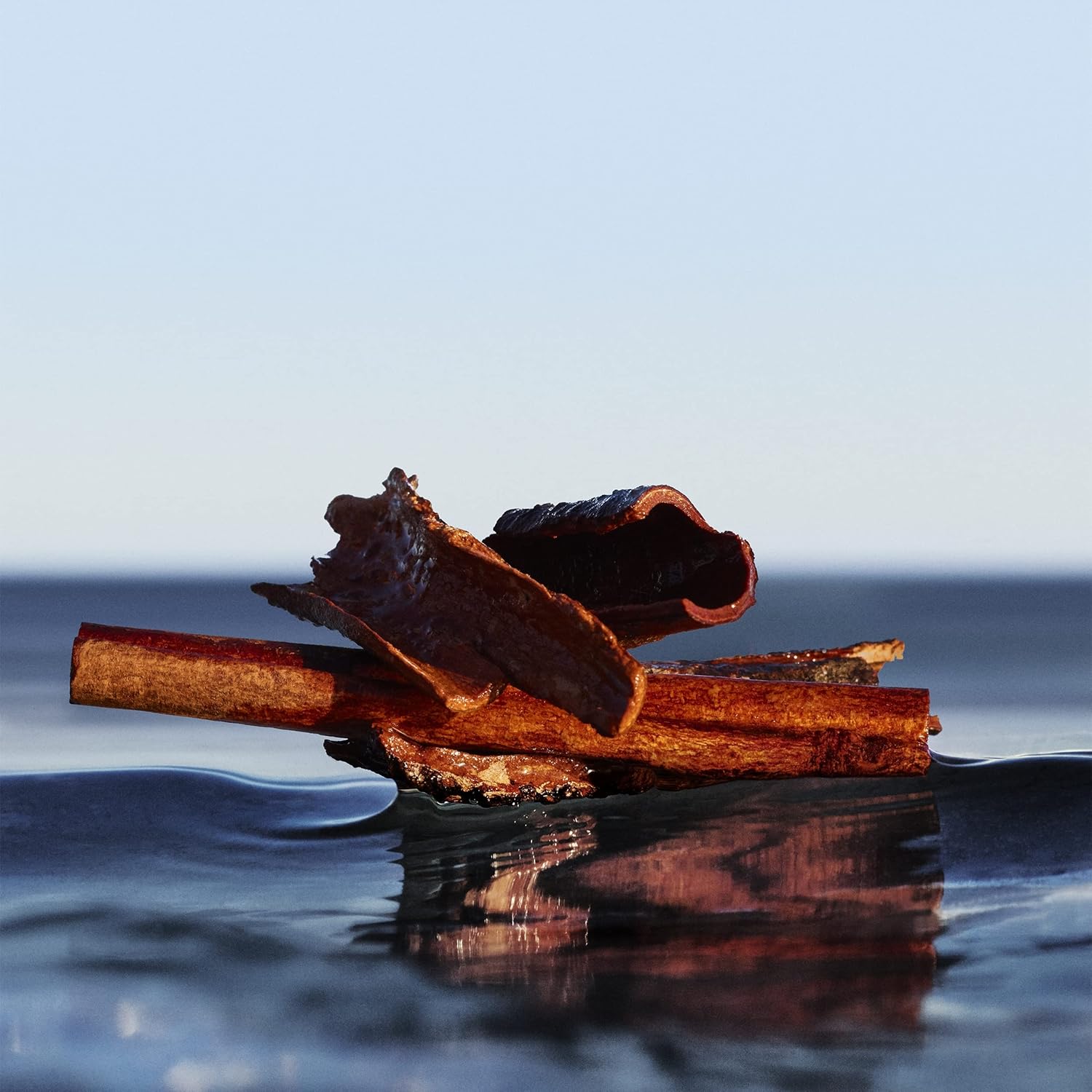 HUGO BOSS BOTTLED INFINITE parfum