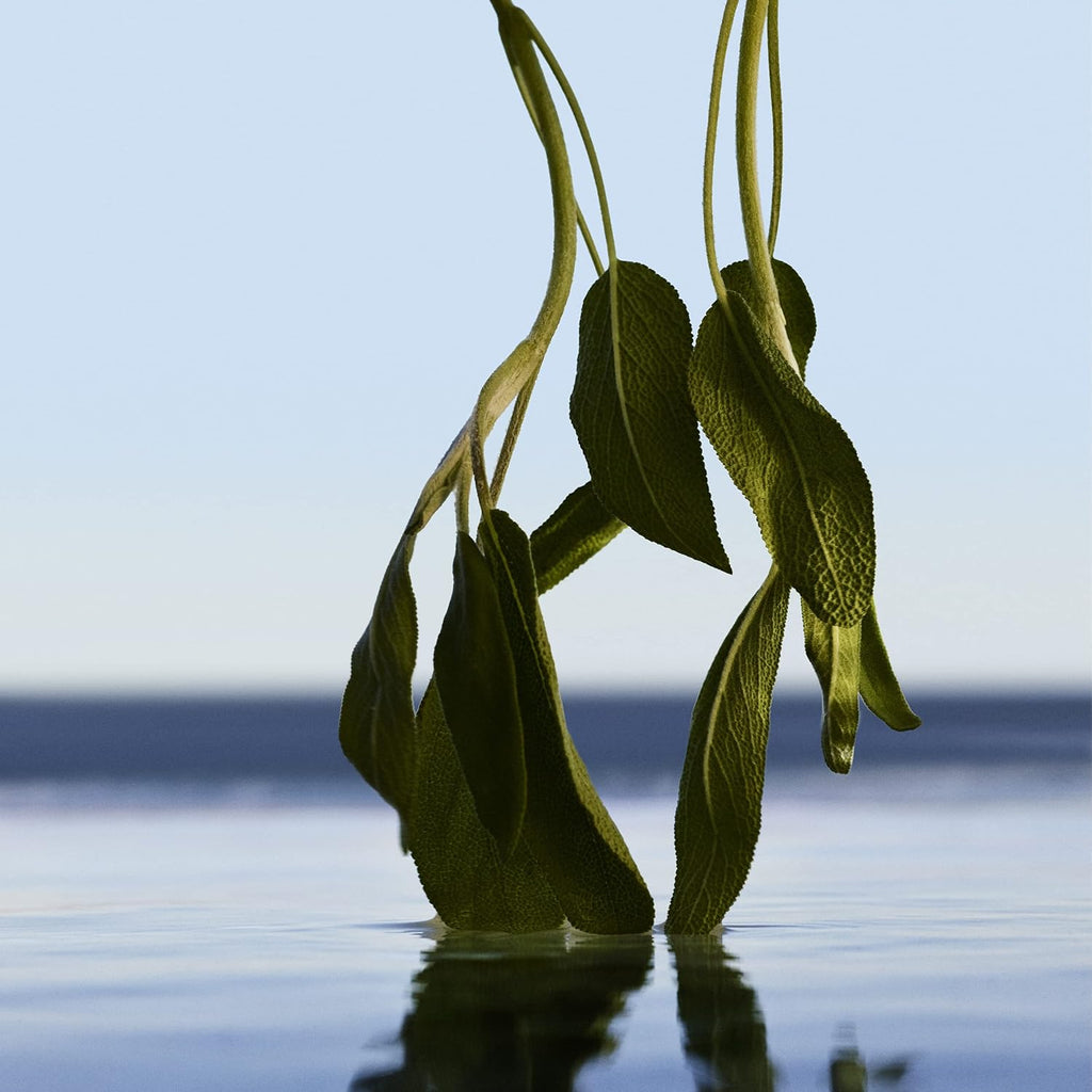 HUGO BOSS BOTTLED INFINITE parfum