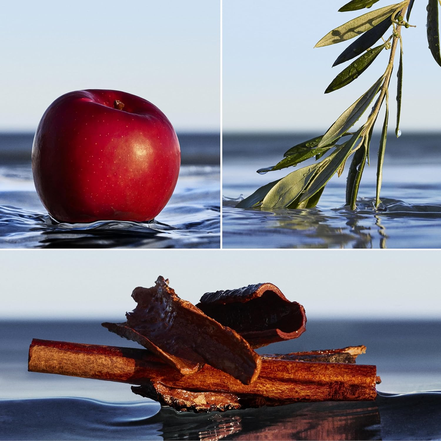 HUGO BOSS BOTTLED INFINITE parfum